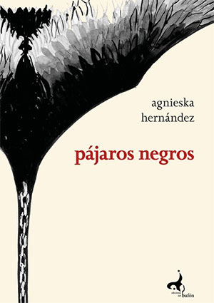 Agnieska Hernández | Pájaros negros