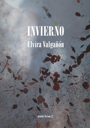 Elvira Valgañón | Invierno